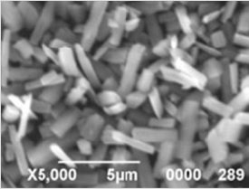 PET背板，創(chuàng)新還是“創(chuàng)心”？