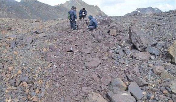 鋅價(jià)格近期上漲但長期來看鋅價(jià)格將下跌